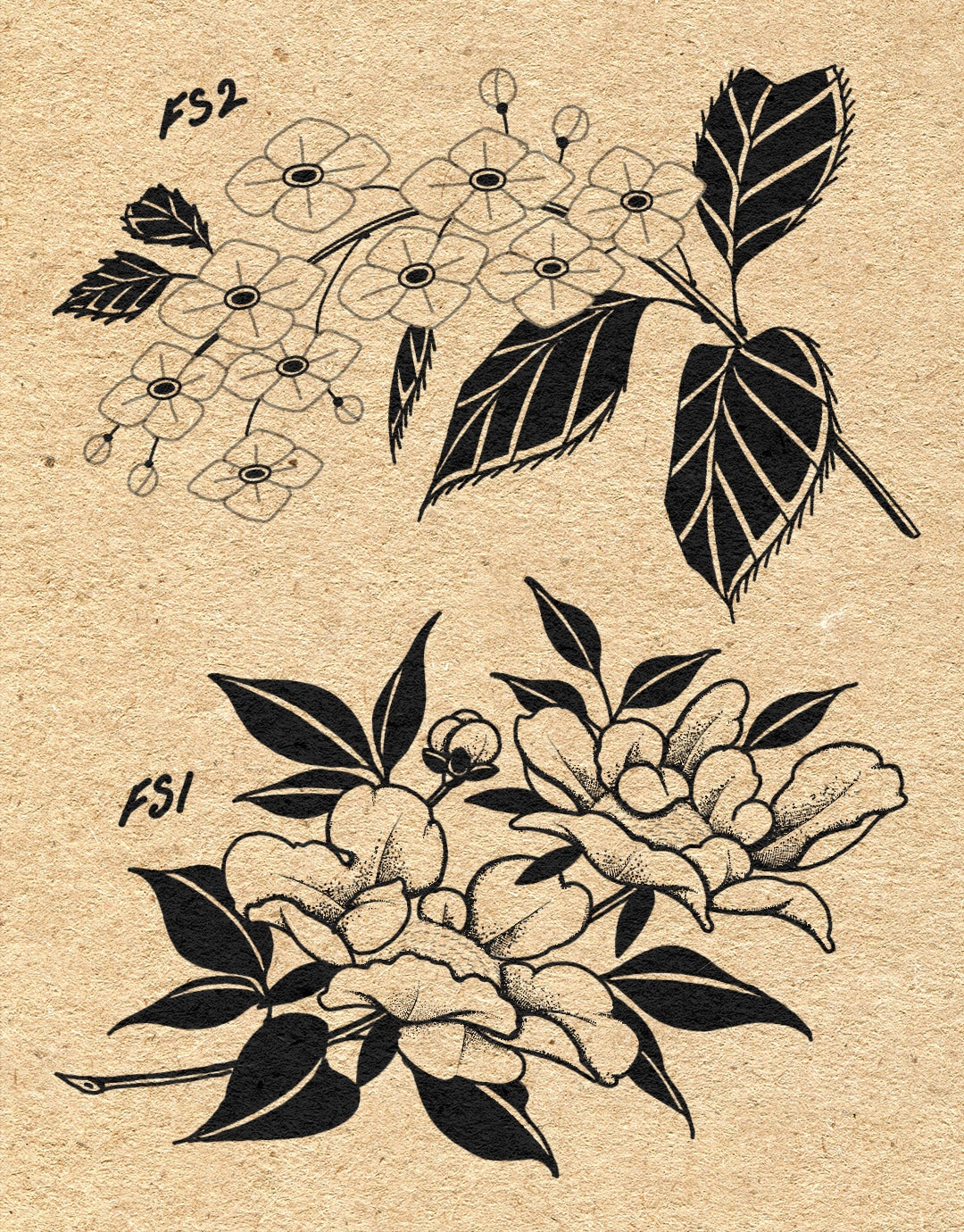 Flash special for the month of April